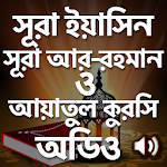 Cover Image of Download সূরা ইয়াসিন-রহমান-আয়াতুল কুরসি 4.21 APK