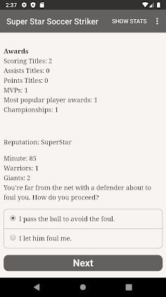 Super Star Soccer Striker - Screenshot 4