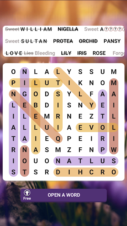 Word Search & Hunt - 1.3 - (Android)