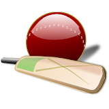 ক্রঠকেট মাঠে মজার ঘটনা-Cricket icon