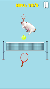 Cat Tennis: Meow Sports Battle