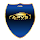 APVS.VC - APP do Consultor