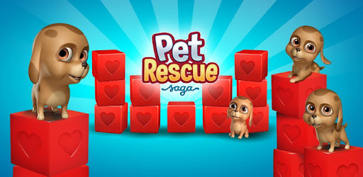 pet rescue