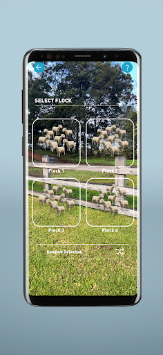 Sheep EAD AR Screen 3