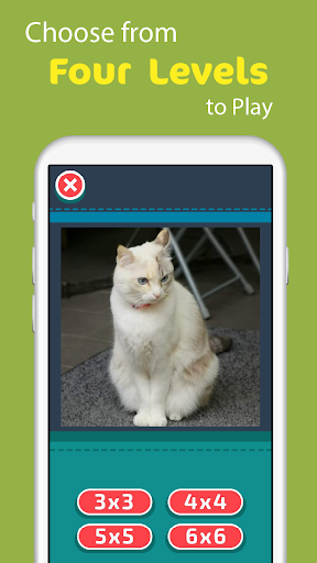 Photo Sliding Puzzle Screen 3