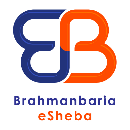 Brahmanbaria eSheba logo