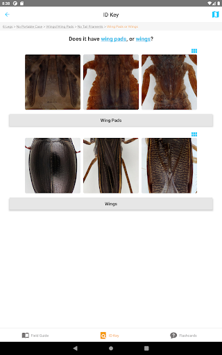 Screenshot 20