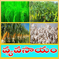 Vyavasayam Telugu Agriculture
