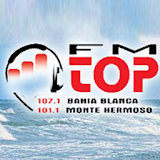 FM TOP 101.1 icon
