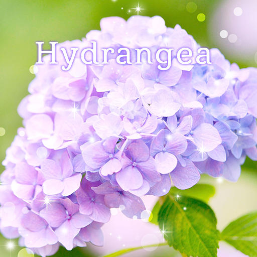 あじさいの花 Homeテーマ Google Play のアプリ