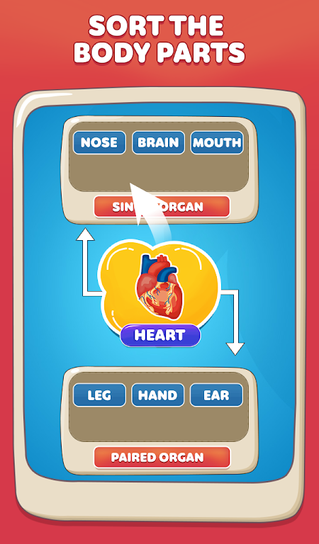 Body Parts Games Kids Learning MOD APK 02