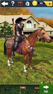 Cowboy Horse Run Screenshot