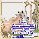 Doa Menyembelih Hewan Qurban, Aqiqah Sesuai Sunnah icon