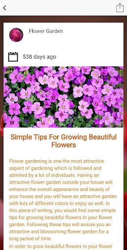 Flower Garden Designs - Free Flower Images Gallery