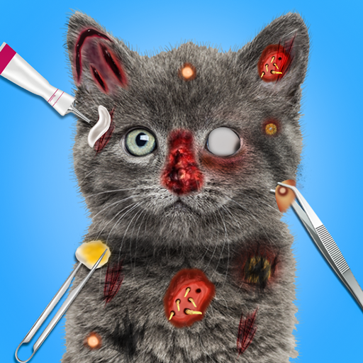 Pet Makeover - Cat Asmr