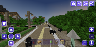 Wild West Cowboy Craft - Screenshot 2