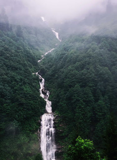 Forest Wallpapers HD