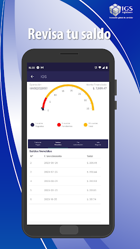 IGS Screen 2