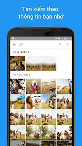 Google Photos - Ứng Dụng Trên Google Play