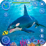 Orca Killer Whale Simulator icon