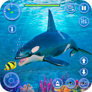 Orca Killer Whale Simulator MOD