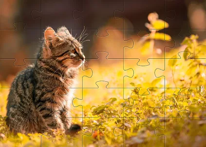 Puzzles de gatito cachorro