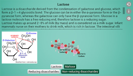 Biomolecules: Macromolecules Screen 3