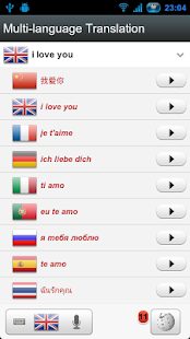 Voice Translator Pro Screenshot