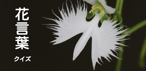 花言葉クイズ التطبيقات على Google Play