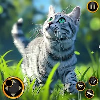 Котик симулятор - игра китти