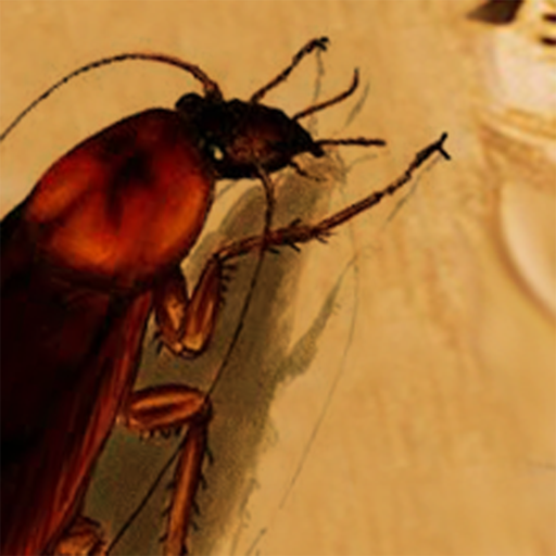 La Cucaracha  Icon