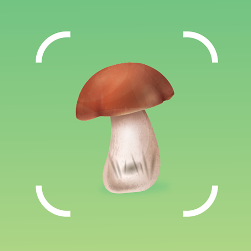 Mushroom Identifier by Picture logo