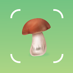 Simge resmi Mushroom Identifier by Picture