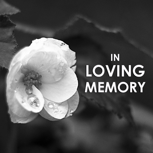 In Loving Memory Frames & Quotes