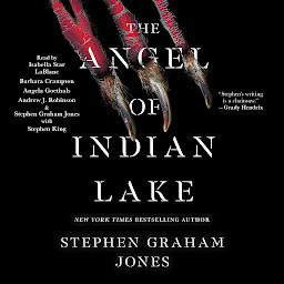 Symbolbild für The Angel of Indian Lake