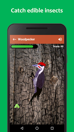 Android application Woodpecker simulator screenshort