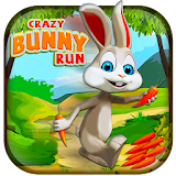 Super Carrot Rush: Collect Baby Carrots & Coins icon