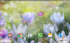 screenshot of Spring Flower Live Wallpaper