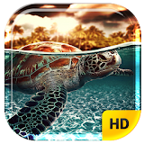 Ocean Turtle Water Pool icon