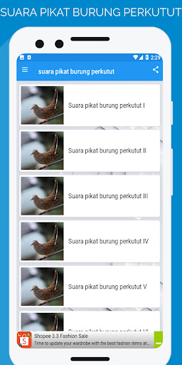 suara pikat burung perkutut Screen 2