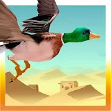 Sahara Desert Bird Simulation icon