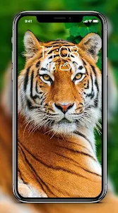 Tiger Wallpaper 4K