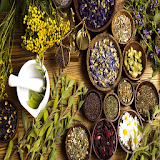 Tamil Herbal & Siddha Remedies icon