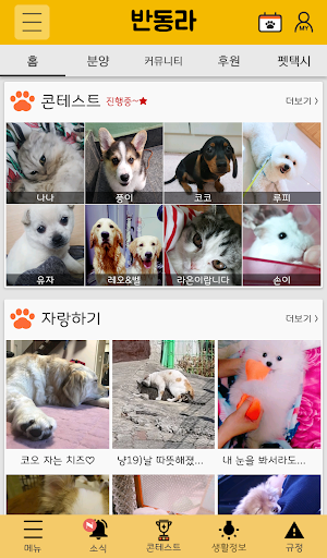 Android application 반동라-반려동물,고양이,강아지,유기견후원 screenshort