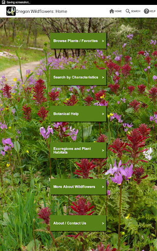 Screenshot of Oregon Wildflowers