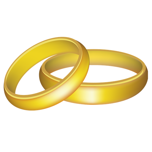 WeddingExpo3D logo