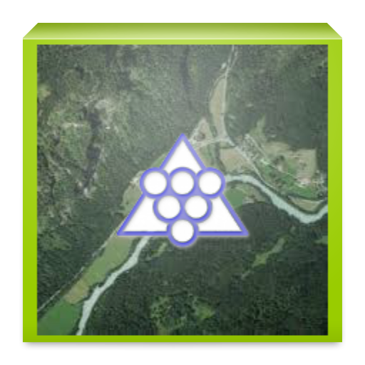 Vineyards logo