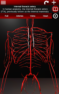 Circulatory System in 3D (Anatomy)