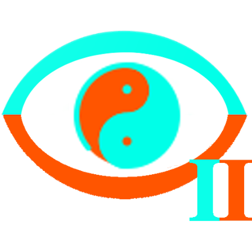 AmblyoVison II logo