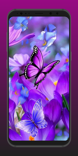 Android application butterfly wallpaper hd live 4k screenshort